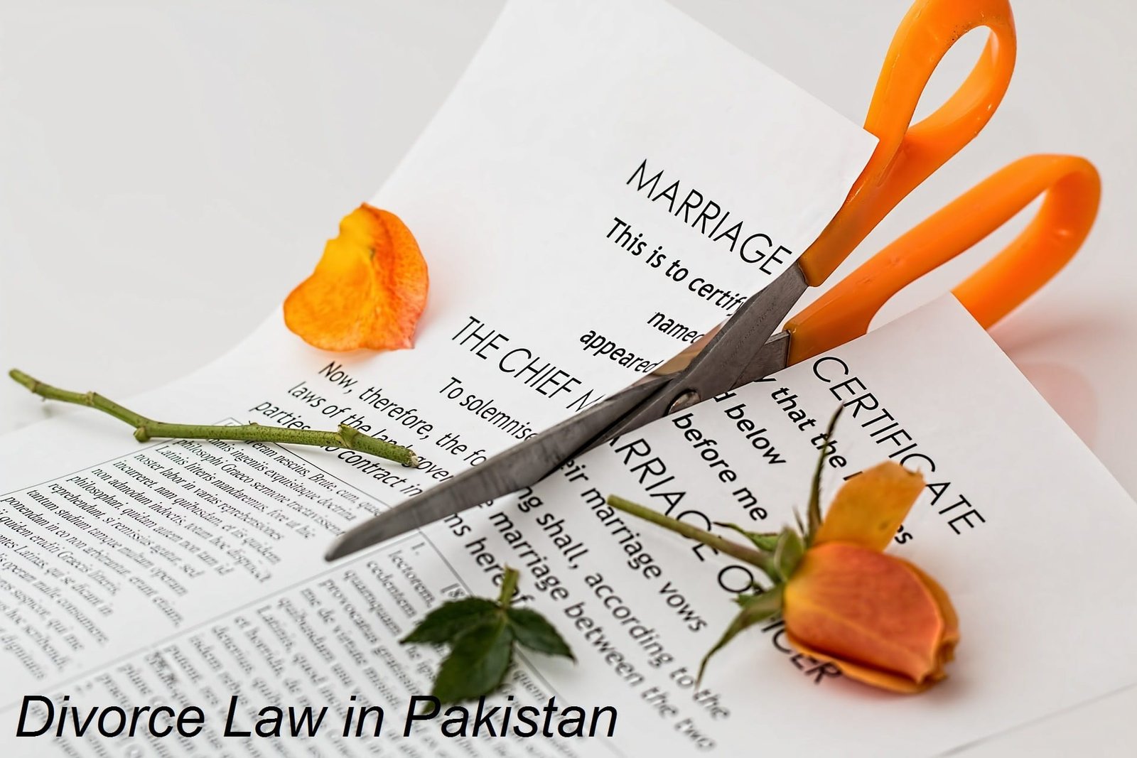 You are currently viewing DIVORCE LAW IN PAKISTAN